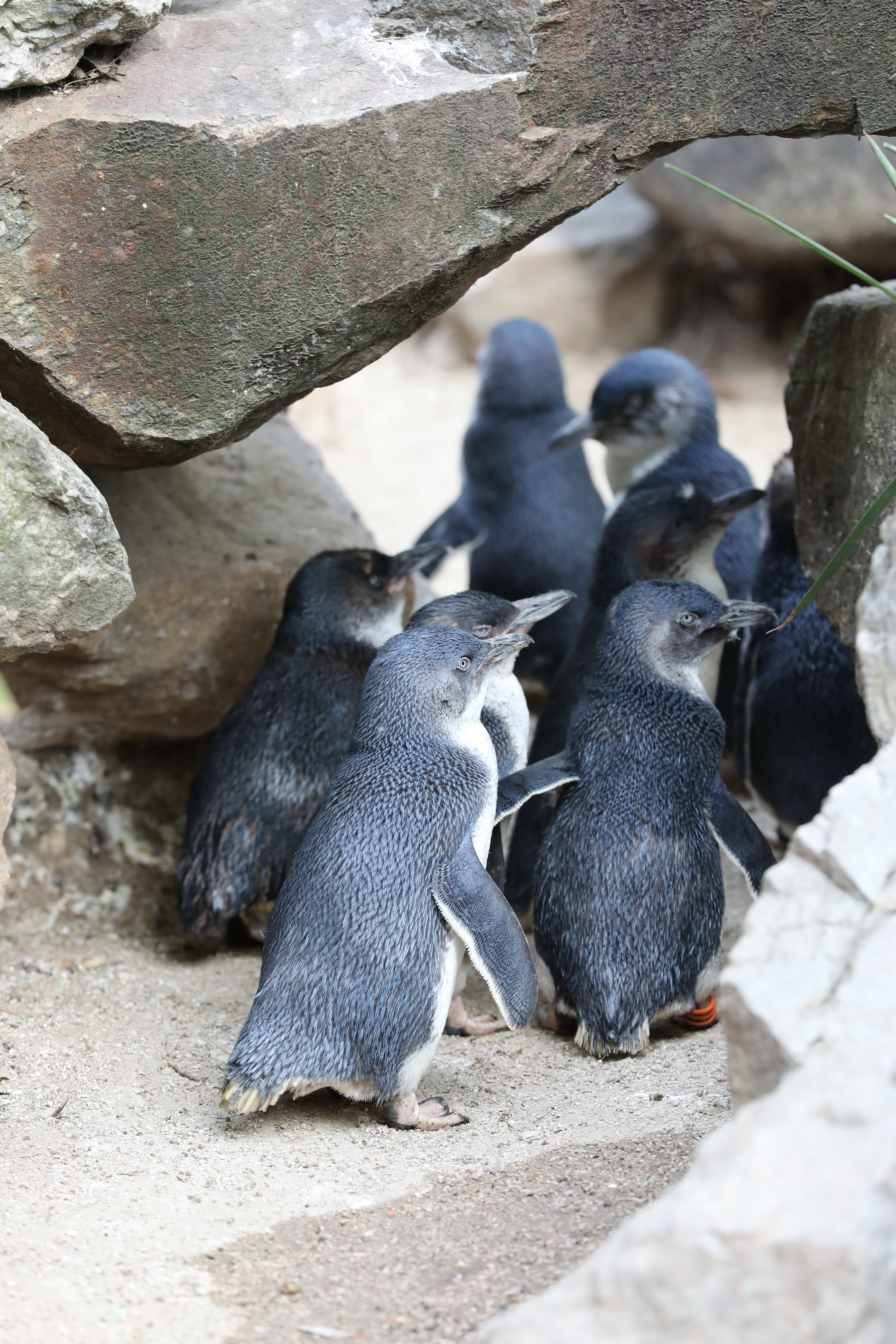 2019 11 22 16 51 20 Canon EOS 5D Mark IV 0042